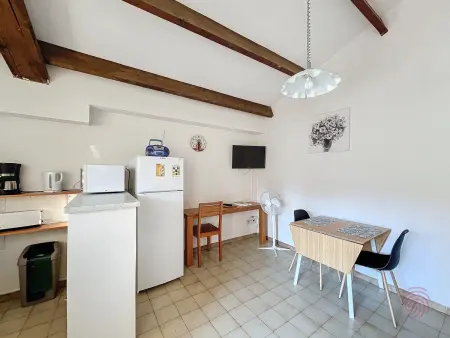 Bel F2 avec terrasse à 650m des Thermes de Lamalou, animaux acceptés, WIFI, proche golf et randonnées - Photo 4