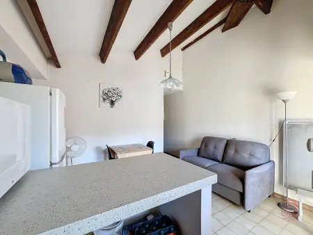 Bel F2 avec terrasse à 650m des Thermes de Lamalou, animaux acceptés, WIFI, proche golf et randonnées - Photo 6