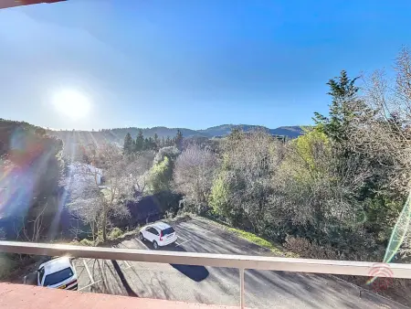 Bel F2 avec terrasse à 650m des Thermes de Lamalou, animaux acceptés, WIFI, proche golf et randonnées - Photo 16