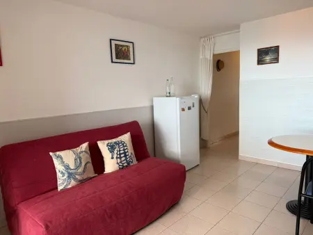 Banyuls-sur-Mer T2 avec terrasse et WIFI, Appartement 4 personnes à Banyuls sur Mer - Photo 8
