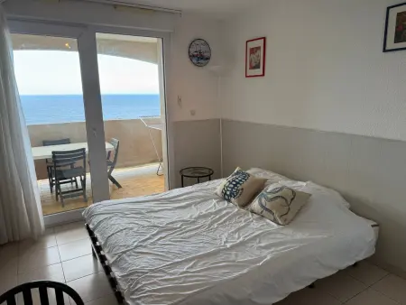 Banyuls-sur-Mer T2 avec terrasse et WIFI, Appartement 4 personnes à Banyuls sur Mer - Photo 10