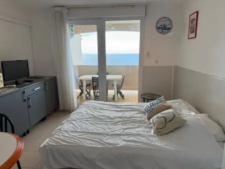 Banyuls-sur-Mer T2 avec terrasse et WIFI, Appartement 4 personnes à Banyuls sur Mer - Photo 11