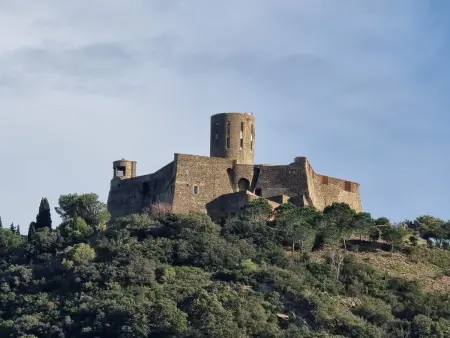 Appartement pour 6 avec terrasse à Collioure, proche plage - Photo 18