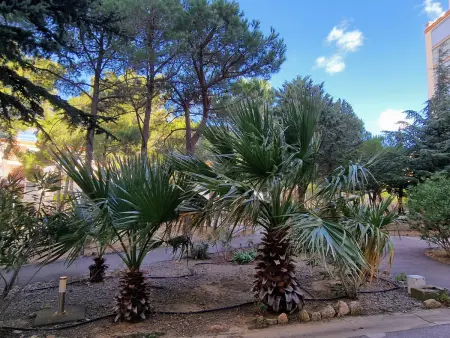Banyuls: T3 avec Terrasse, Parking, 6 Pers., Appartement 6 personnes à Banyuls sur Mer - Photo 3