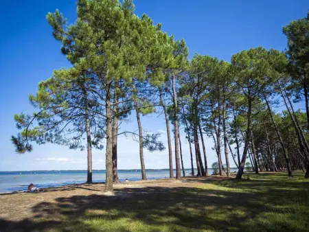 Charmant apt à Parentis avec piscine, 4 pers, près du lac, ménage inclus - Photo 14