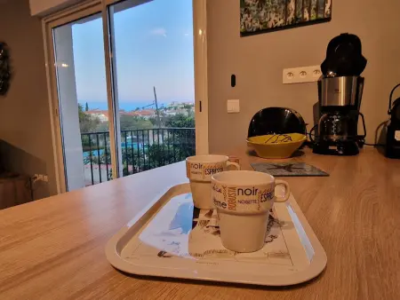 Appartement rénové à Banyuls-sur-Mer avec terrasse - Photo 10