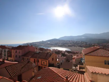 Studio à Banyuls-sur-Mer, terrasse proche plages - Photo 1