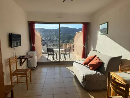 Studio à Banyuls-sur-Mer, terrasse proche plages - Photo 11