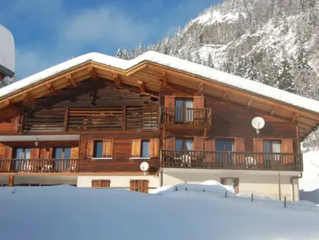 Appartement au calme avec animaux admis, près du Grand-Bornand - Photo 11