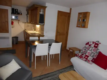 Rez-de-jardin 3 pièces proche pistes, jusqu'à 6 personnes - Photo 3