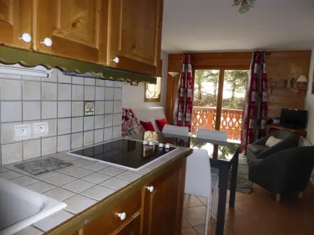 Rez-de-jardin 3 pièces proche pistes, jusqu'à 6 personnes - Photo 7