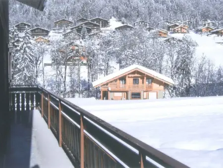 Appartement au Grand-Bornand, proche pistes de ski - Photo 8