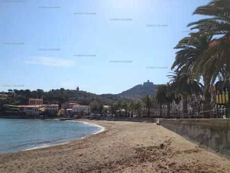 Appartement 2P avec piscine, tennis, parking et wifi à 300m de la plage, Collioure - Photo 13