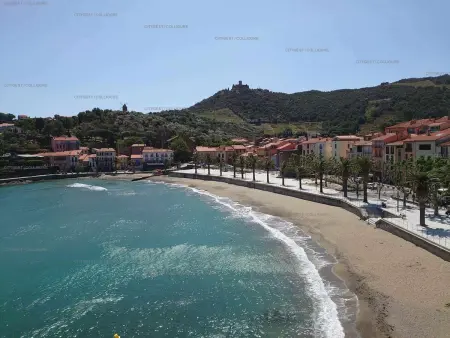 Appartement 2P avec piscine, tennis, parking et wifi à 300m de la plage, Collioure - Photo 14
