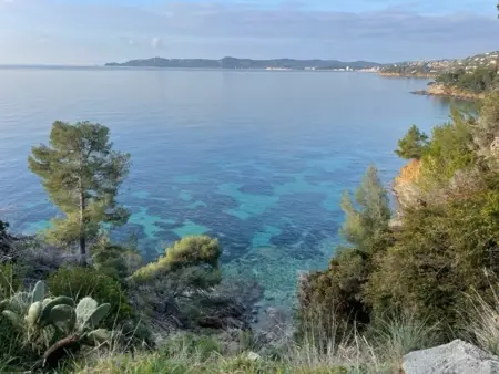 T2 cabine avec terrasse à La Favière, proche plages et commerces - Photo 16