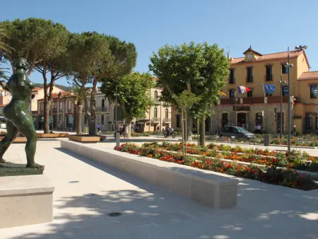 Studio confortable Banyuls, cœur de ville, climatisé - Photo 17