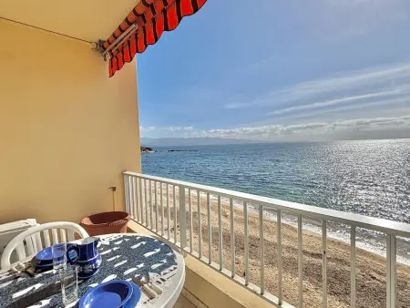 Studio les pieds dans l'eau, climatisé, terrasse, Wi-Fi inclus à Ajaccio - Photo 1