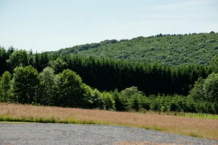 Aux Fleurs des Champs, Gîte à Ferrières avec Sauna et Jardin - Photo 33