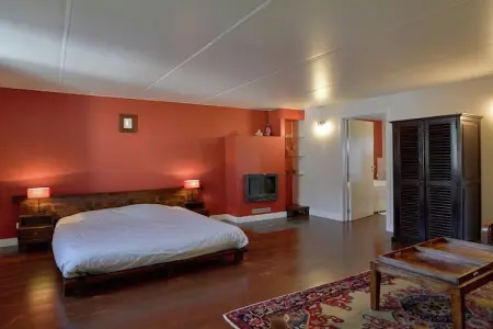 Château Froidthier, Château confortable à Thimister-Clermont avec piscine - Photo 22