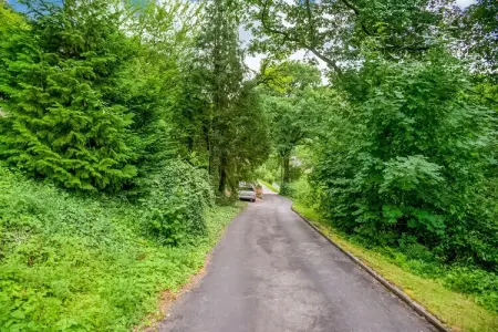 Belle Vue, Appartement de charme à Sougné-Remouchamps, près de la forêt - Photo 20