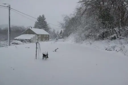La Maison d'Egide, Retraite de Waimes près de la forêt - Photo 37