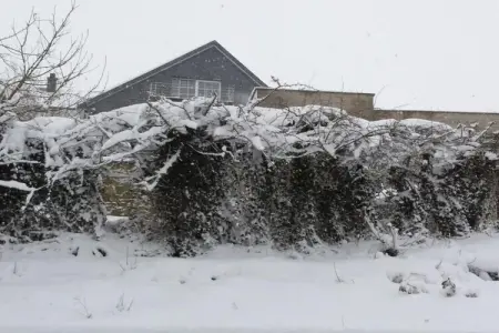 La Maison d'Egide, Retraite de Waimes près de la forêt - Photo 39