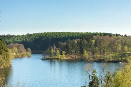 Le Fagna, Maison à Ovifat avec Sauna & Forêt - Photo 35