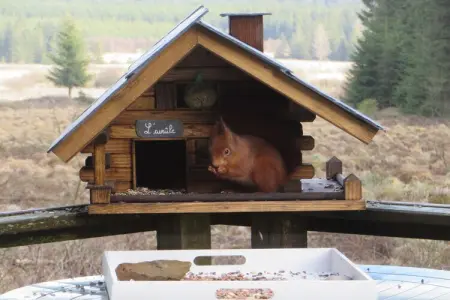 La Cabane, Escapade dans un chalet confortable en forêt - Photo 29