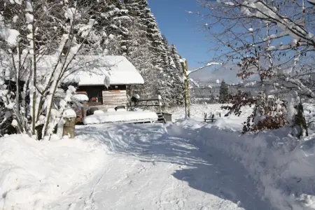 La Cabane, Escapade dans un chalet confortable en forêt - Photo 30
