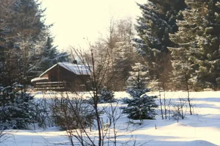 La Cabane, Escapade dans un chalet confortable en forêt - Photo 33