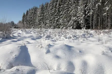La Cabane, Escapade dans un chalet confortable en forêt - Photo 35
