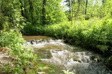 Ma Cabane, Retraite nature à Waimes - Photo 18