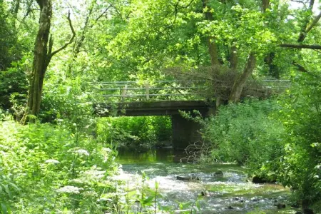 Ma Cabane, Retraite nature à Waimes - Photo 21