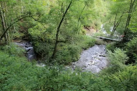 Apollinaire, Chalet pittoresque, Bernister - Photo 41