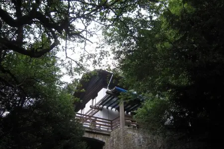 La Roche au Bois, Chalet à Coo Forests, Liège - Photo 3