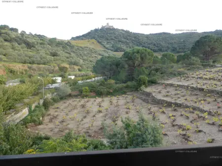 Appartement avec Piscine, Climatisation et Parking, à 300m de la Plage - Collioure - Photo 15