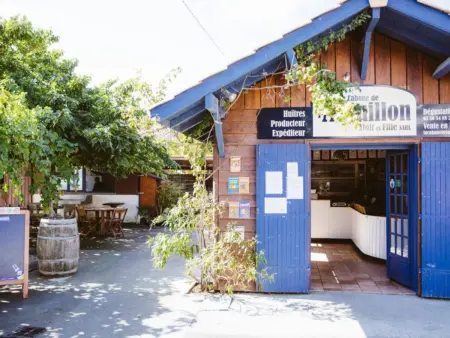Charmant T2 au Centre d'Arcachon avec Garage - À Proximité de la Plage et des Commerces - Photo 17