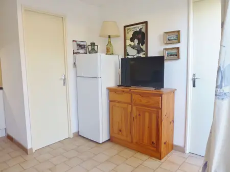 Appartement T2 cabine avec grande terrasse, proche plage, parking et équipements complets - Photo 6