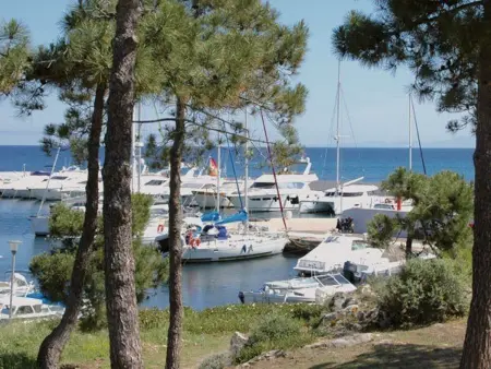 Studio cosy avec terrasse, proche plage, 2 couchages à Lumio - Photo 7