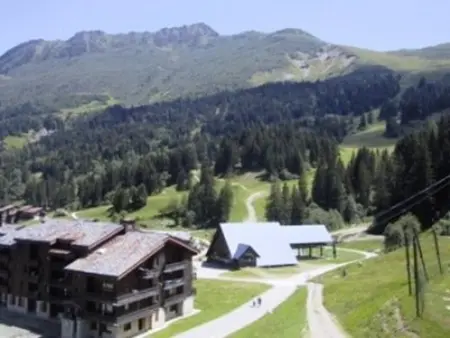 Charmant appartement 3 chambres avec balcon, proches des pistes et de l'ESF, animaux acceptés - Photo 11