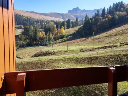 Charmant appartement 3 chambres avec balcon, proches des pistes et de l'ESF, animaux acceptés - Photo 12