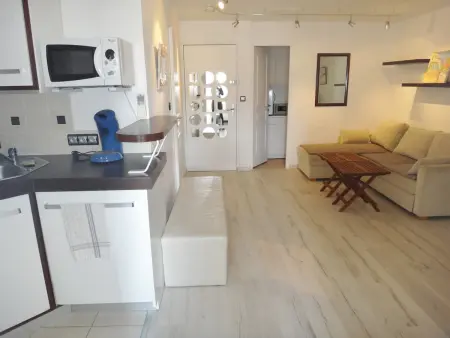 Appartement climatisé avec piscine et parking sécurisé - Cap d'Agde - Photo 4