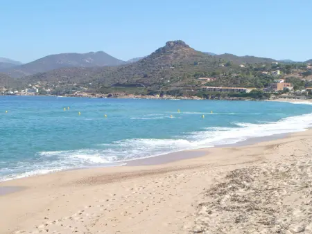 Appartement familial 3 pièces, jardin, 6 couchages, plages à 5 min - Calcatoggio - Photo 14