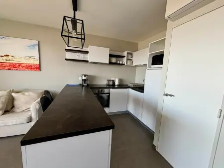 Appartement LUXE 2 Ch, Balcon, Plage, Piscine, Parking - Photo 11