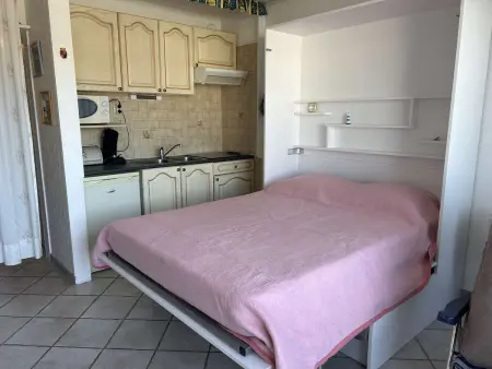 Studio Cabine Climatisé, Plage et Piscine, 4 Couchages - Port Camargue - Photo 9