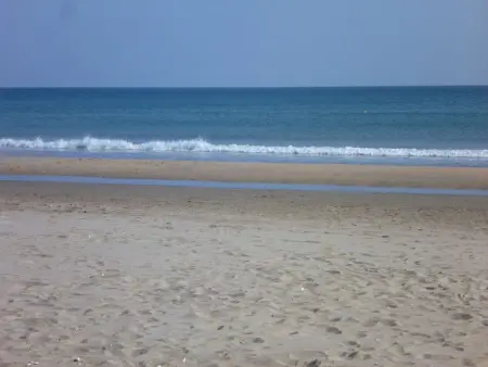 Appartement 4 pers avec vue mer proche plage, animaux et parking inclus - Photo 11
