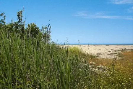Résidence Marina Corsa in Ghisonaccia / Trilocale 6 - 3 pcs 6 pers, Séjour familial en Corse pour 6 près de la plage - Photo 31