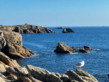 Quiberon : Charmant T2 avec piscine, terrasse, parking, proche plage - 4 pers. - Photo 10