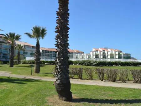 Appart 2P/6 Pers avec Piscine et Parking à Saint-Cyprien - Photo 17