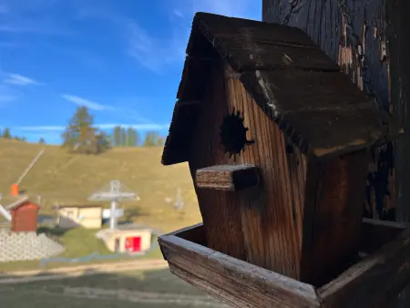 Appartement T2 Duplex sur piste pour 6 pers avec box à skis au Super-Sauze - Photo 5